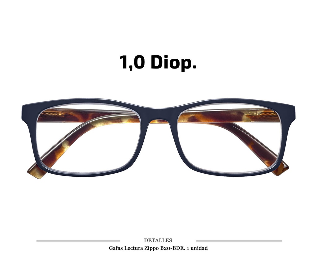 GAFAS LECTURA ZIPPO B20 BDE 1,0 DIOP 1 UD