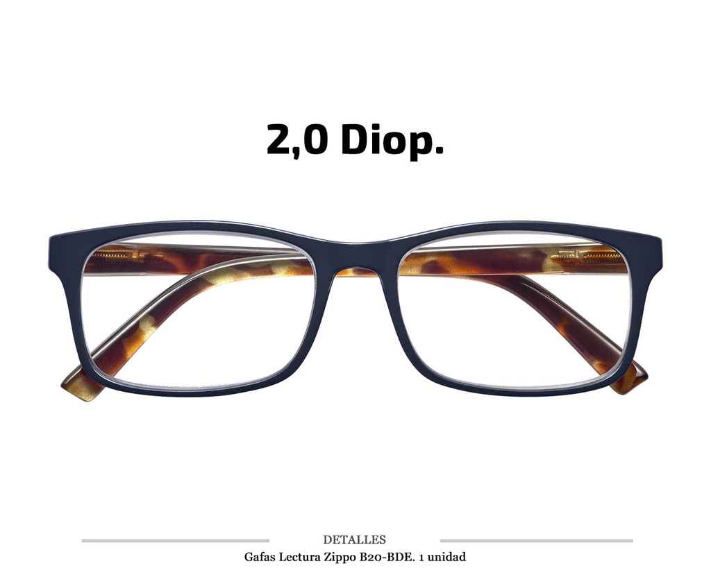 GAFAS LECTURA ZIPPO B20 BDE 2,0 DIOP 1 UD